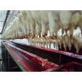 Poultry processing equipment bleeding trough